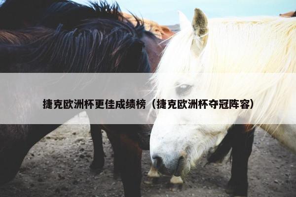 捷克欧洲杯更佳成绩榜（捷克欧洲杯夺冠阵容）