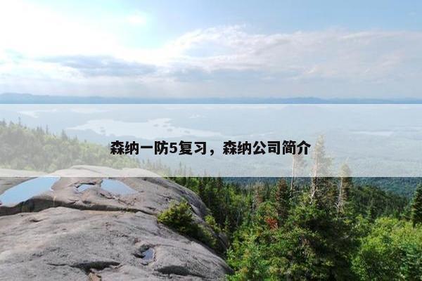 森纳一防5复习，森纳公司简介