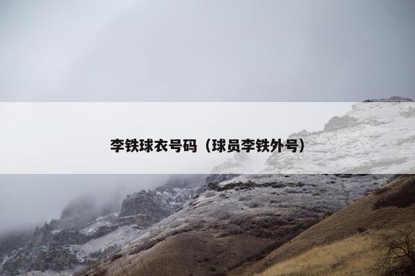 李铁球衣号码（球员李铁外号）