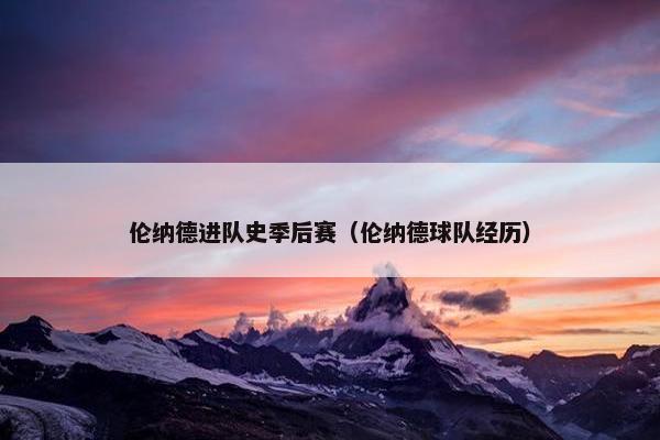伦纳德进队史季后赛（伦纳德球队经历）