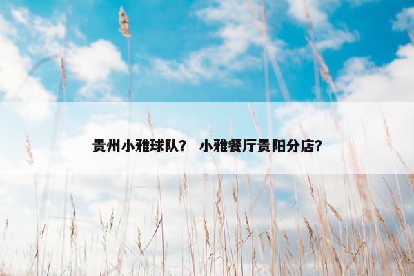 贵州小雅球队？ 小雅餐厅贵阳分店？