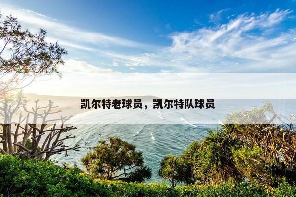 凯尔特老球员，凯尔特队球员