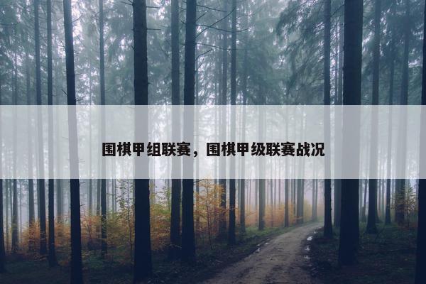 围棋甲组联赛，围棋甲级联赛战况