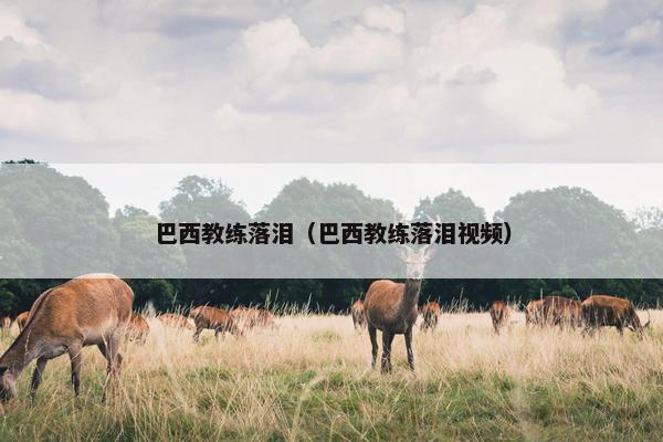 巴西教练落泪（巴西教练落泪视频）