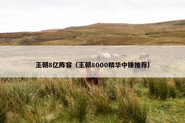 王朝8亿阵容（王朝8000精华中锋推荐）