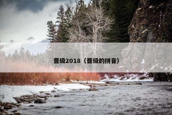 晋级2018（晋级的拼音）