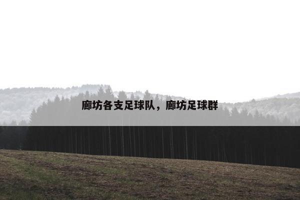 廊坊各支足球队，廊坊足球群