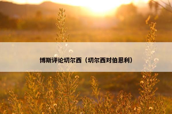 博斯评论切尔西（切尔西对伯恩利）