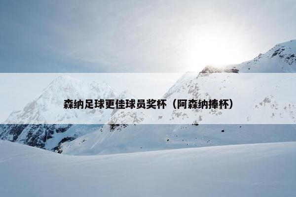 森纳足球更佳球员奖杯（阿森纳捧杯）