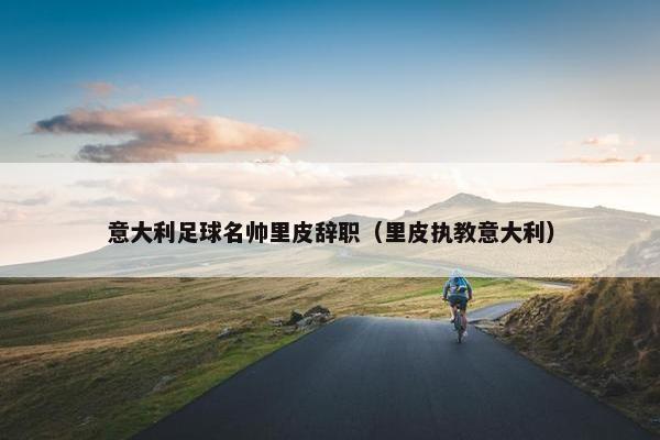 意大利足球名帅里皮辞职（里皮执教意大利）