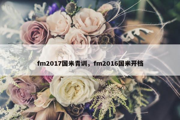 fm2017国米青训，fm2016国米开档