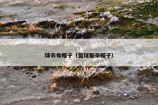 球衣有帽子（篮球服带帽子）