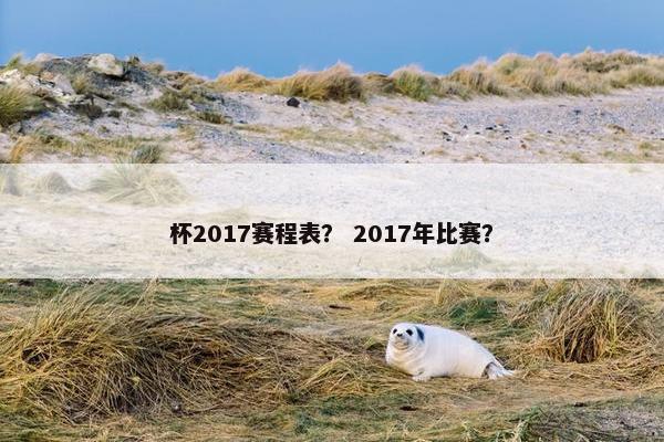 杯2017赛程表？ 2017年比赛？