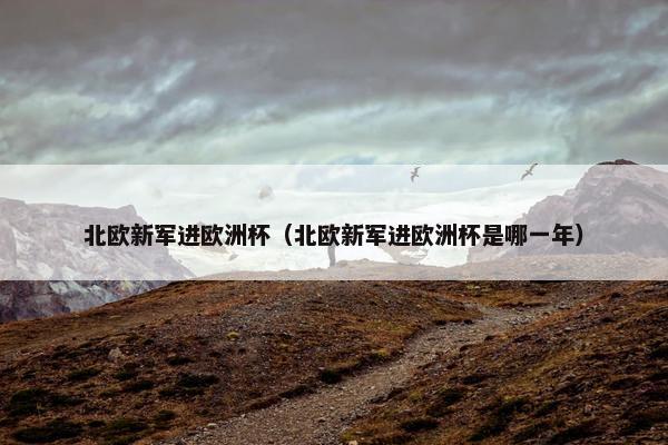 北欧新军进欧洲杯（北欧新军进欧洲杯是哪一年）