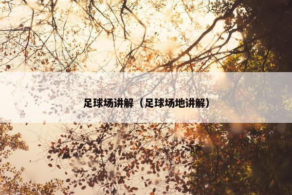 足球场讲解（足球场地讲解）