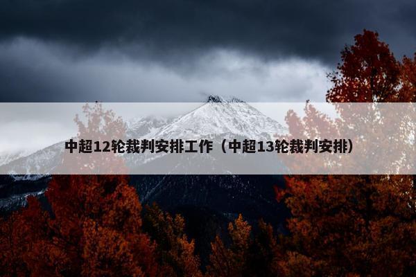 中超12轮裁判安排工作（中超13轮裁判安排）