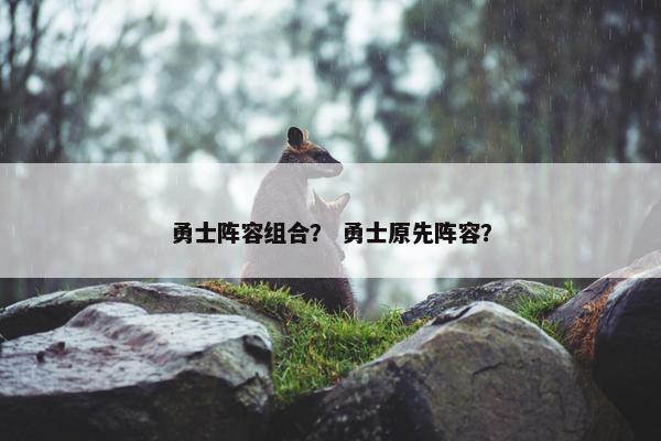 勇士阵容组合？ 勇士原先阵容？