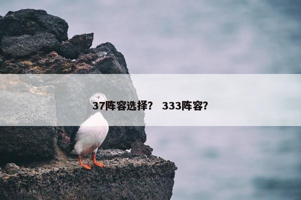 37阵容选择？ 333阵容？
