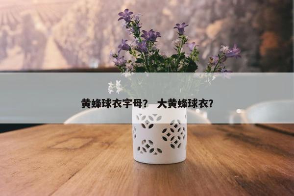 黄蜂球衣字母？ 大黄蜂球衣？