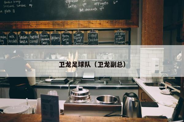 卫龙足球队(卫龙副总) 卫龙足球队(卫龙副总)