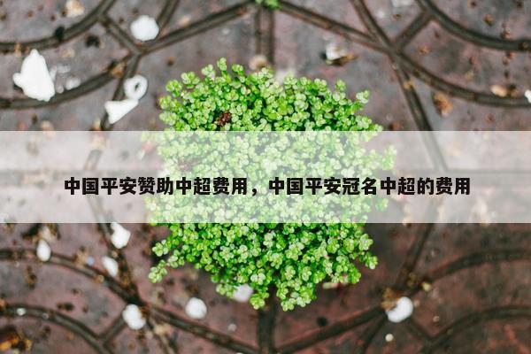 中国平安赞助中超费用，中国平安冠名中超的费用