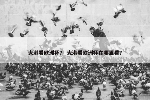 大港看欧洲杯？ 大港看欧洲杯在哪里看？
