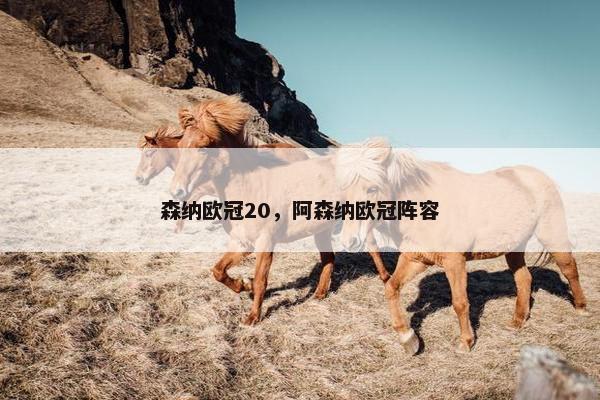 森纳欧冠20，阿森纳欧冠阵容