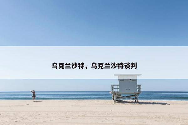 乌克兰沙特，乌克兰沙特谈判