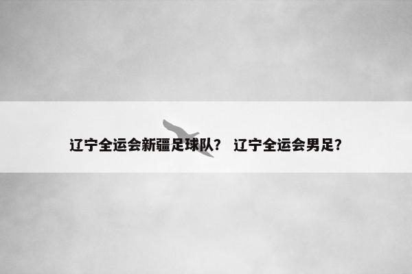 辽宁全运会新疆足球队？ 辽宁全运会男足？