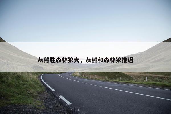 灰熊胜森林狼大，灰熊和森林狼推迟