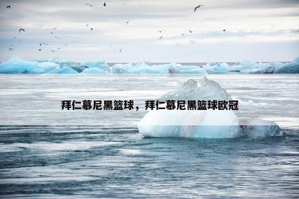 拜仁慕尼黑篮球，拜仁慕尼黑篮球欧冠