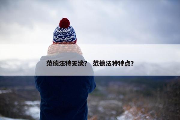 范德法特无缘？ 范德法特特点？