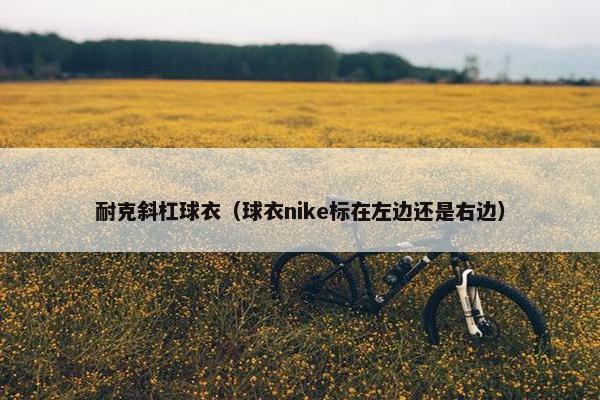 耐克斜杠球衣（球衣nike标在左边还是右边）