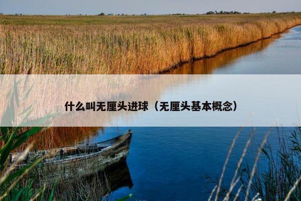 什么叫无厘头进球（无厘头基本概念）