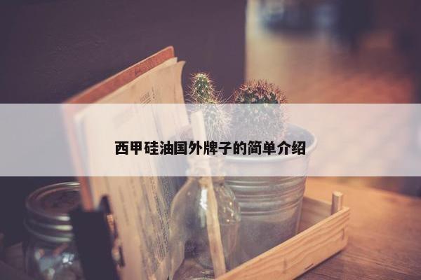 西甲硅油国外牌子的简单介绍