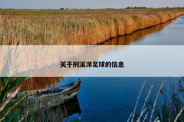 关于刑溪洋足球的信息