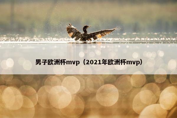 男子欧洲杯mvp（2021年欧洲杯mvp）