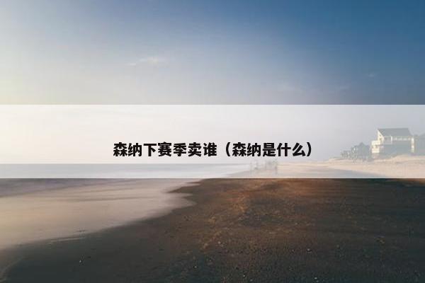 森纳下赛季卖谁（森纳是什么）
