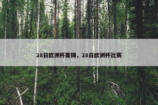 28日欧洲杯集锦，28日欧洲杯比赛