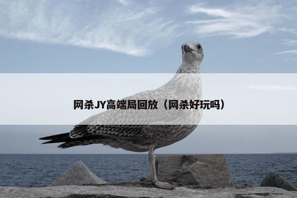 网杀JY高端局回放（网杀好玩吗）
