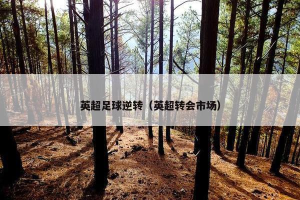 英超足球逆转（英超转会市场）