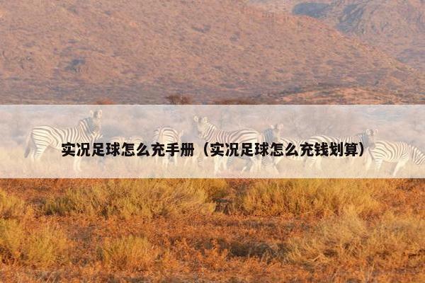 实况足球怎么充手册（实况足球怎么充钱划算）