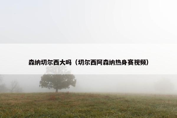 森纳切尔西大吗（切尔西阿森纳热身赛视频）