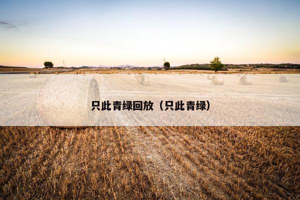 只此青绿回放（只此青绿）