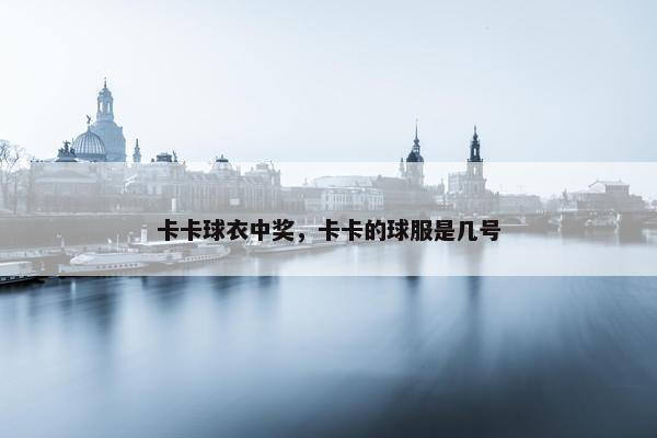 卡卡球衣中奖，卡卡的球服是几号