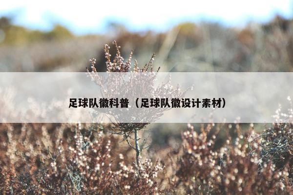 足球队徽科普（足球队徽设计素材）