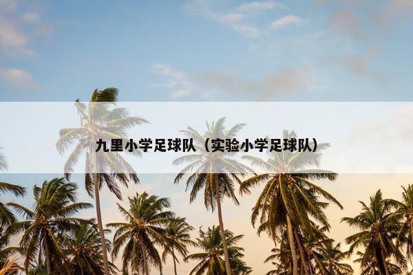 九里小学足球队（实验小学足球队）