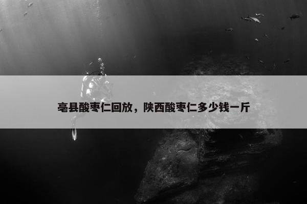 亳县酸枣仁回放，陕西酸枣仁多少钱一斤