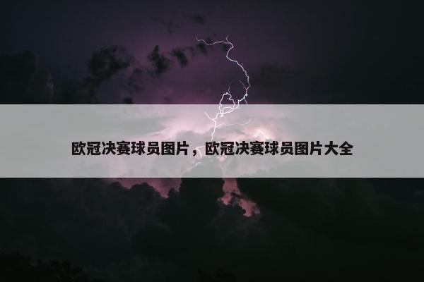 欧冠决赛球员图片，欧冠决赛球员图片大全