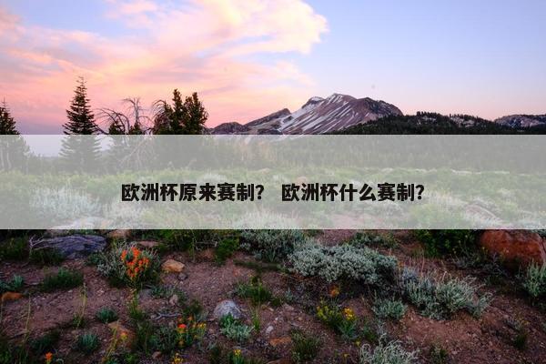 欧洲杯原来赛制？ 欧洲杯什么赛制？